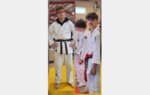 Grand Prix ceinture de couleurs Cadets et Seniors à Lavelanet